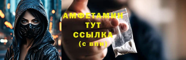 ПСИЛОЦИБИНОВЫЕ ГРИБЫ Вязники
