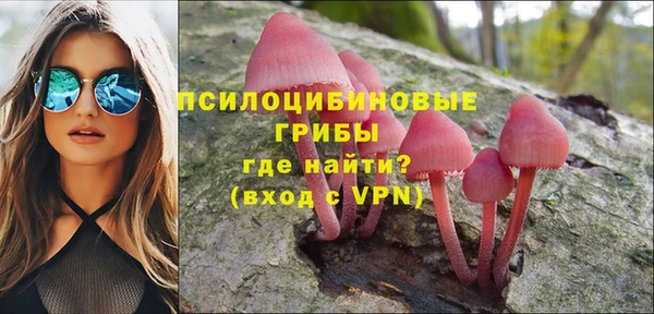 альфа пвп Вяземский