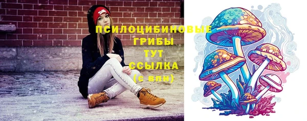 альфа пвп Вяземский