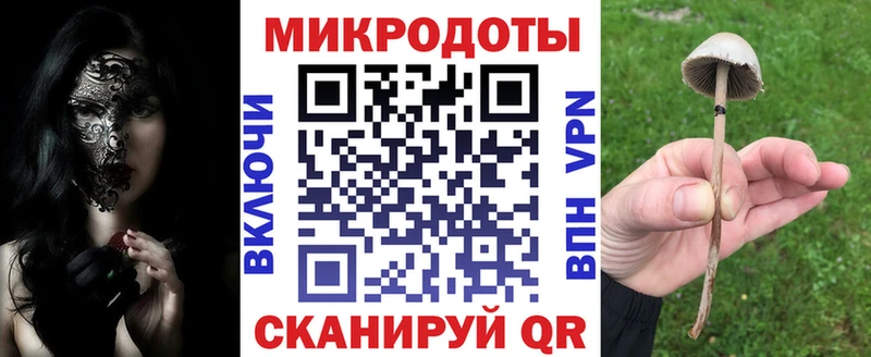 Галлюциногенные грибы Psilocybe  Купить закладки  Унеча 